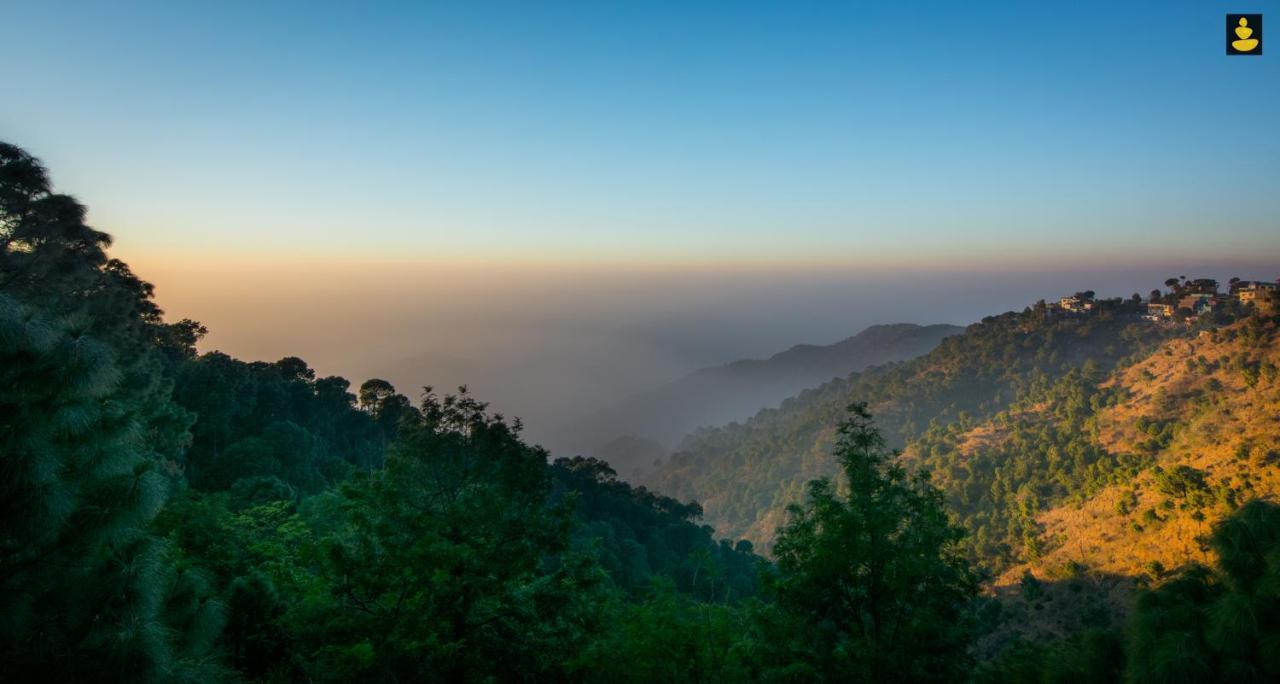 Livingstone 2Bhk Cozy Homestay In Kasauli Hills Экстерьер фото